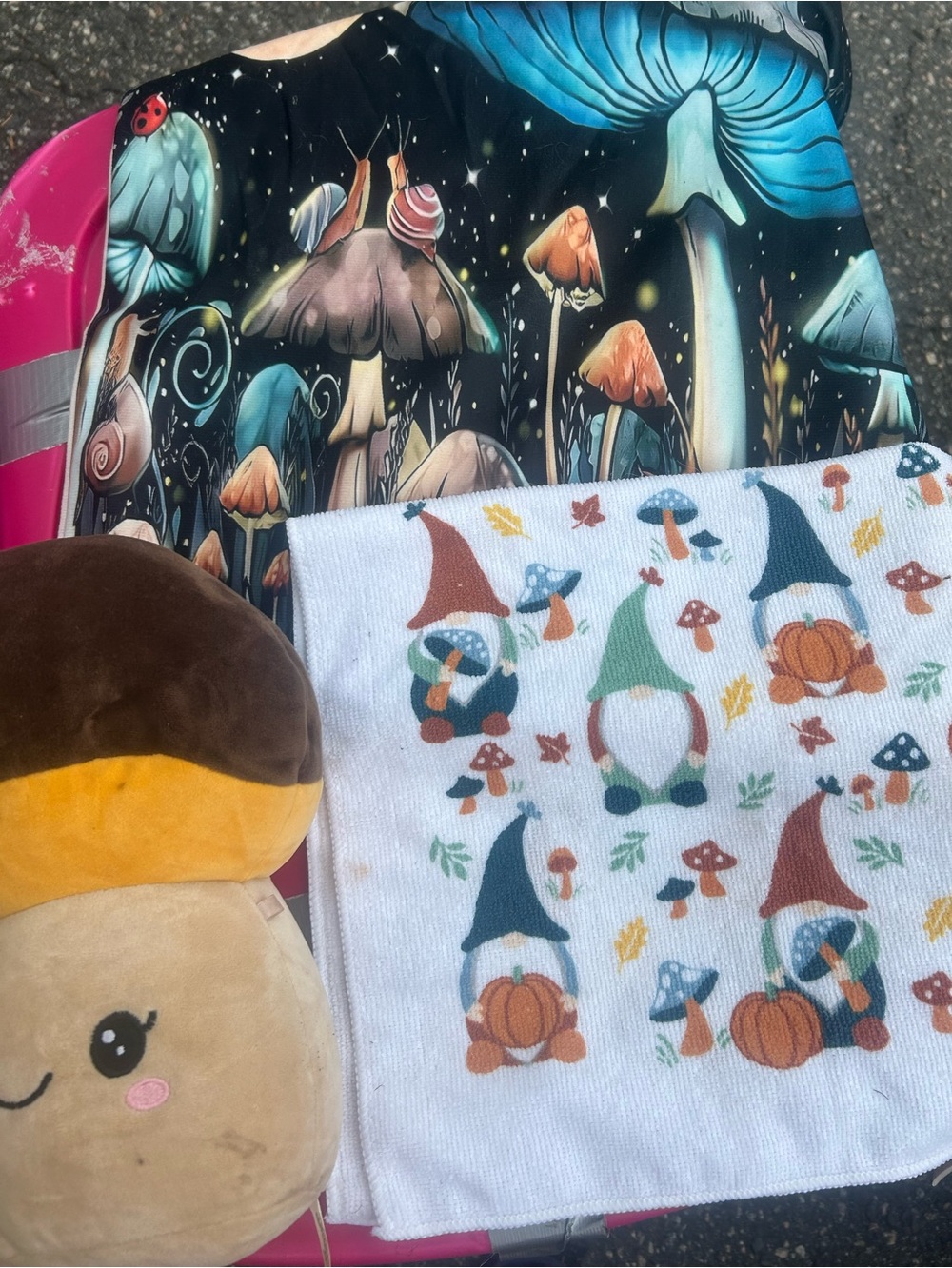 Pillow case ,Plushy,Hand towel you get all all never used .No Tags 🏷️